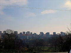 01-IMG_5176