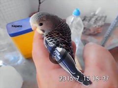 CIMG1318 CIMG1318