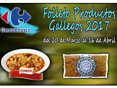 folleto 2017