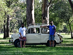 DSC_6659 DSC_6659