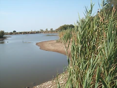 DSCF2371