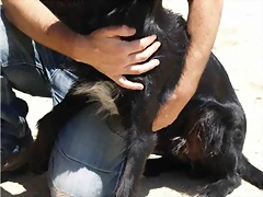 pipo2 pipo2