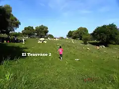 Trasvase2