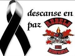 descarga