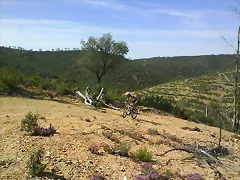 Francis subida