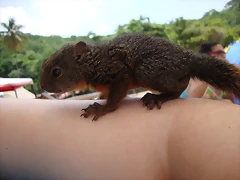 De viaje a la playa.