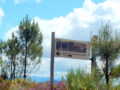 DSCN3008