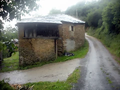 DSCN4774 DSCN4774