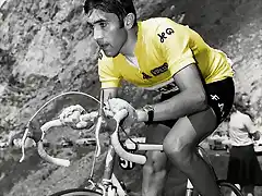 TOUR 1969-FAEMA.MERCKX.