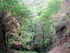 DSCN6270 DSCN6270