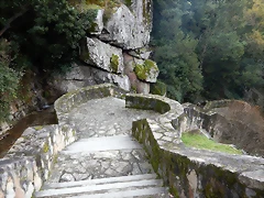DSCN0106