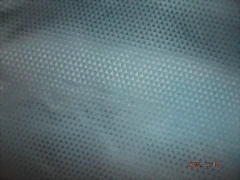 DSCF0551
