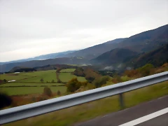DSCN8365