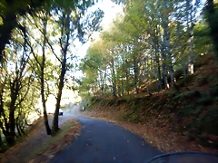 DSCN0123