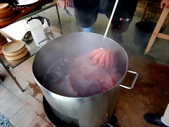 DSCN5986 DSCN5986