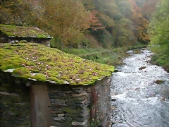 DSCN6163 DSCN6163