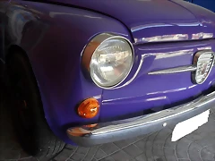 SDC13461 SDC13461
