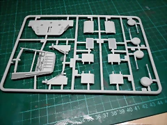 DSCN5758