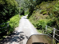 DSCN8225 DSCN8225