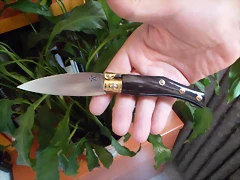 SAM_0770 SAM_0770