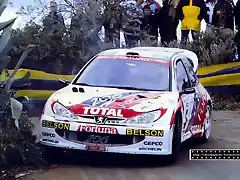 Peugeot 206 WRC 2001 El Corte Ingles Monzon