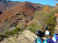 DSCN6864