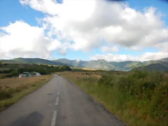 DSCN3517 DSCN3517