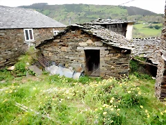 DSCN4254 DSCN4254