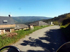 DSCN5493 DSCN5493
