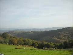 DSCN9878 DSCN9878