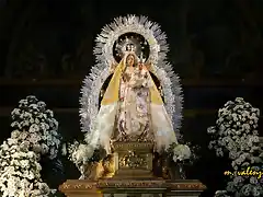 16, la Virgen 2, marca