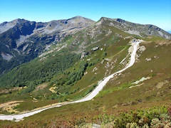 IMG_8012 IMG_8012