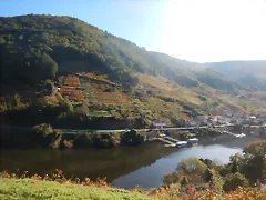 DSCN4522 DSCN4522