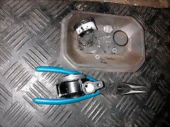 DSCN9355 DSCN9355