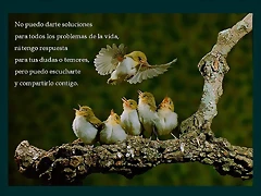 Diapositiva1