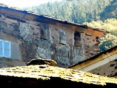 DSCN0181 DSCN0181