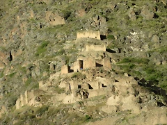 IMG_1661 IMG_1661