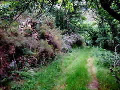 DSCN7482 DSCN7482