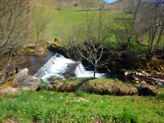 DSCN4767 DSCN4767