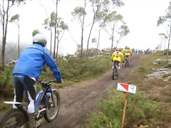 IMG_0633 IMG_0633