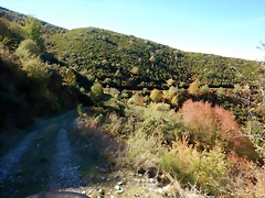 DSCN0050 DSCN0050