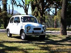 DSC_0697 DSC_0697