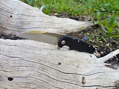 20181230_123219 20181230_123219