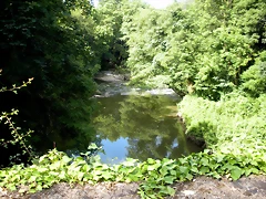 DSCN8420 DSCN8420