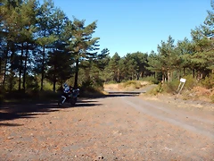 DSCN9421 DSCN9421