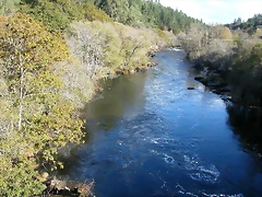DSCN6386 DSCN6386