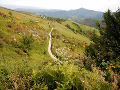 DSCN8976