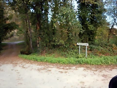 DSCN0549 DSCN0549
