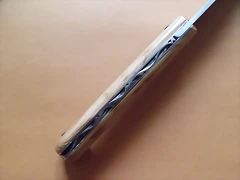 SAM_2546 SAM_2546