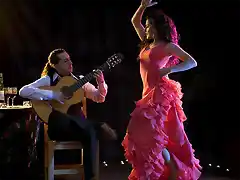 flamenco